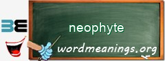 WordMeaning blackboard for neophyte